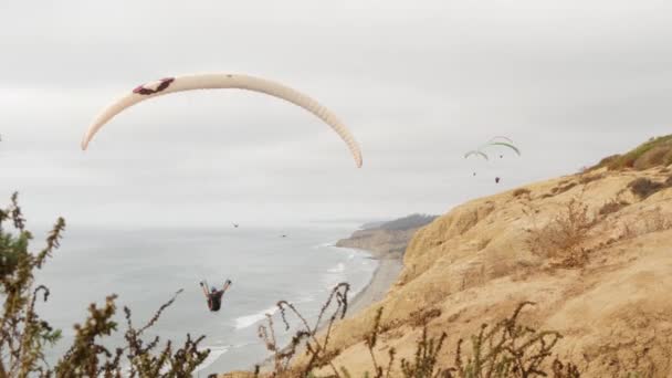 トーリー・パインズパラグライダー。パラグライダーの飛行。カリフォルニア海岸の崖 — ストック動画