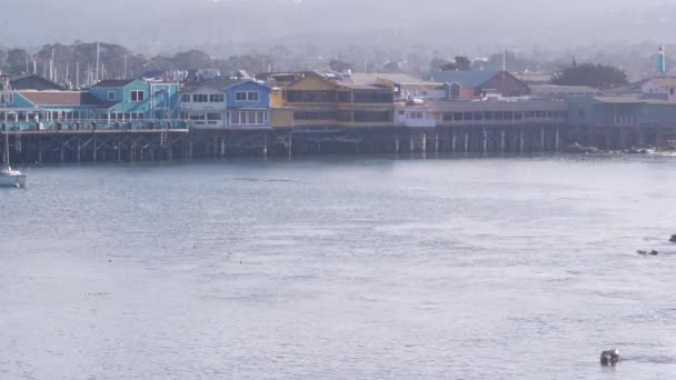 Colorful wooden houses on piles or pillars, Old Fishermans Wharf, Monterey bay. — Stock Video