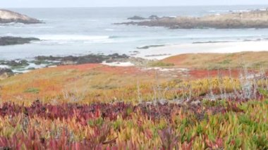 17 mil, Monterey, California. Kayalık okyanus kıyıları, dalgalar. Etler
