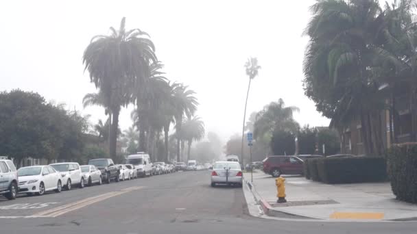 Palmeras en la niebla en la calle de la ciudad, niebla brumosa tiempo en California, Estados Unidos. — Vídeo de stock