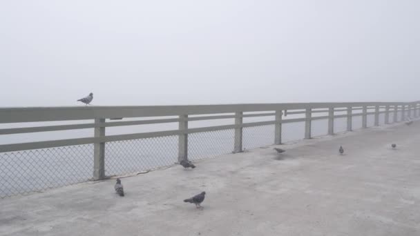 Wooden Ocean Beach pier in fog, misty calm boardwalk in haze, California coast. — Stock Video