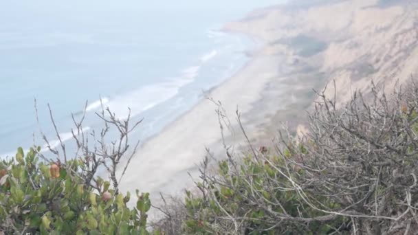 Roca escarpada o acantilado, erosión de la costa de California. Vista de Torrey Pines — Vídeos de Stock