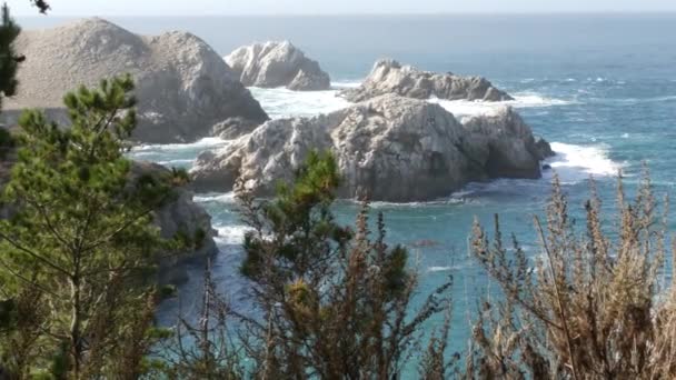 Kayalık uçurum, okyanus plajı, Point Lobos, California sahili. Dalgalar çarpıyor. — Stok video