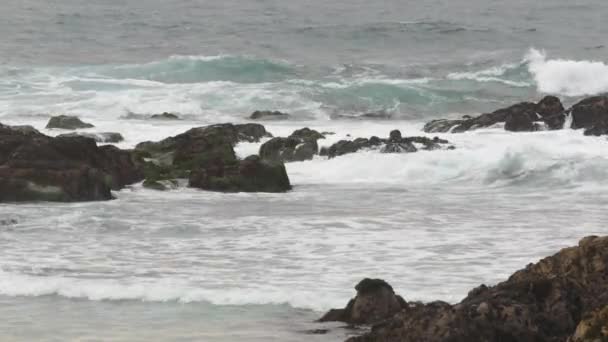Βραχώδης βραχώδης ακτή του ωκεανού, κύματα θαλασσινού νερού συντρίβονται σε βράχους, Monterey Καλιφόρνια — Αρχείο Βίντεο
