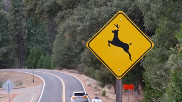 Rehe überqueren gelbes Verkehrsschild, Kalifornien USA. Wildtiere, Verkehrssicherheit — Stockvideo