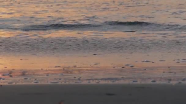 Californië oceaan in het zonlicht, zee golven bij zonsondergang. Zonlicht reflectie op water — Stockvideo