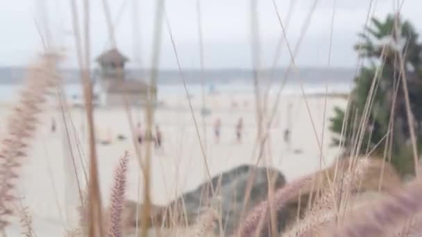 Gente jugando voleibol en la playa de arena del océano, costa de California, EE.UU.. Salvavidas. — Vídeos de Stock