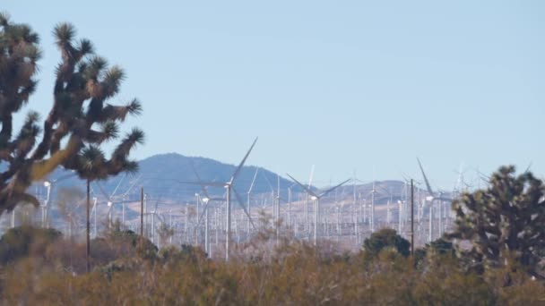 Вітряні млини на вітровій електростанції, генератори енергії вітряних млинів. Вітряна ферма в пустелі (США).. — стокове відео