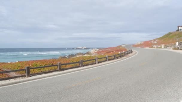 17 milhas de carro estrada cênica, Monterey, Califórnia, ondas oceânicas. Plantas suculentas. — Vídeo de Stock