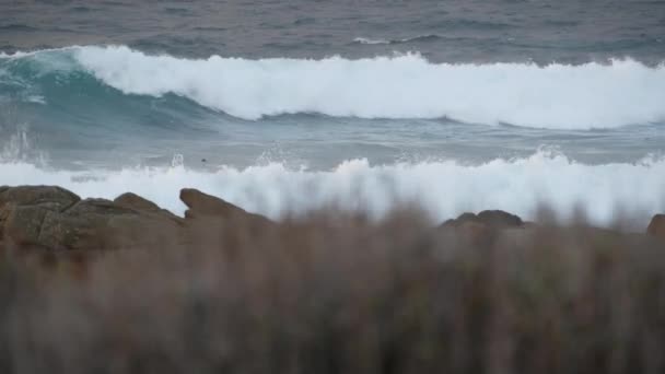 Rotsachtige oceaan kust, dramatische zee golven, Monterey strand, Californië, vogels vliegen. — Stockvideo