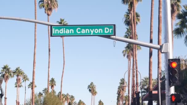 Palmbomen in de stad in de buurt van Los Angeles, verkeersbord, semafoor verkeerslichten. — Stockvideo