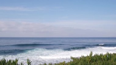 Okyanus dalgaları sahile çarpıyor, deniz suyu yüzeyi, California. Sulu bitkiler..