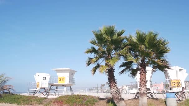Cankurtaran standı ve palmiye ağacı, Kaliforniya sahillerinde sörf yapmak için can kurtaran kulesi.. — Stok video