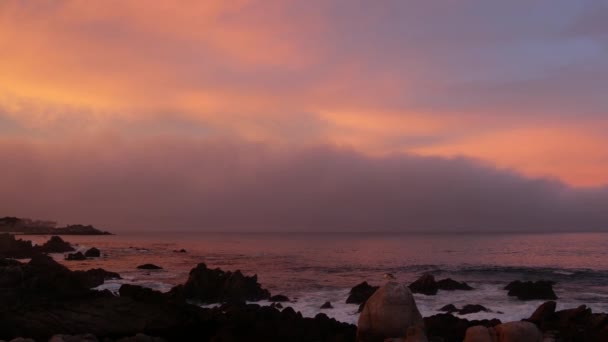 Océano rocoso, playa de mar, costa de California. Rosa púrpura pastel cielo atardecer dramático — Vídeos de Stock
