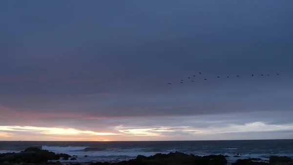 ロッキー海岸の海の波、モントレービーチカリフォルニア、鳥が飛んで、日没の空 — ストック写真