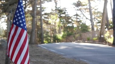 Amerikan bayrağı, selvi ağacı ormanı, 17 mil sürüş, California, turist yolculuğu