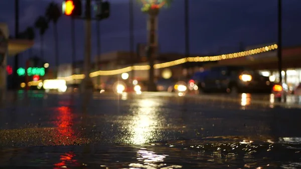 Luci riflessione su strada in caso di pioggia. Palme e piogge, California. — Foto Stock