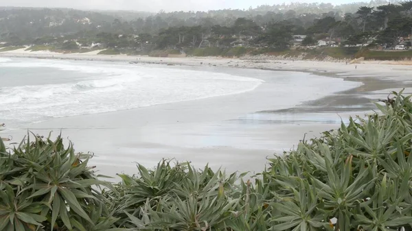 Oceaan zandstrand, Californische kust, zee water golven crashen. mistig weer. — Stockfoto