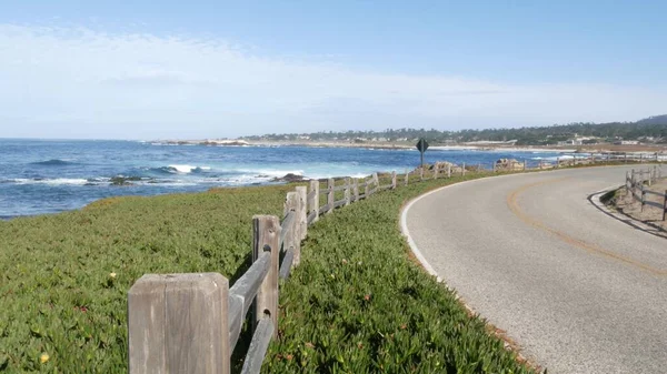 17-mijl rijden schilderachtige weg, Monterey, Californië, oceaan golven. Sappige planten. — Stockfoto