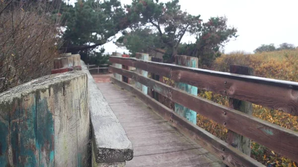 Träbro på skogsstig, strandpromenad för vandring, catwalk-gångbro. — Stockfoto
