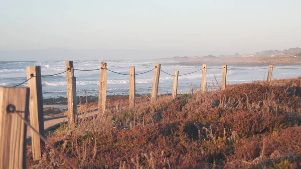 Sanddünen am Meer, kalifornische Küstenflora. Wanderweg, Holzsteg. — Stockfoto