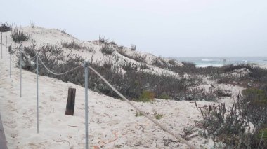 Okyanus kumlu kum tepeleri, Kaliforniya 'nın sisli kıyıları. Sisli yağmurlu hava, soğuk deniz.