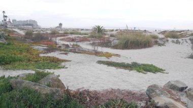 Sisli Coronado sahilinin kum tepeleri, sisli okyanus dalgaları, Kaliforniya kıyıları, ABD.