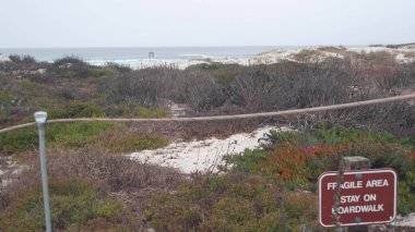 Okyanus kumlu kum tepeleri, Kaliforniya 'nın sisli kıyıları. Sisli yağmurlu hava, soğuk deniz.