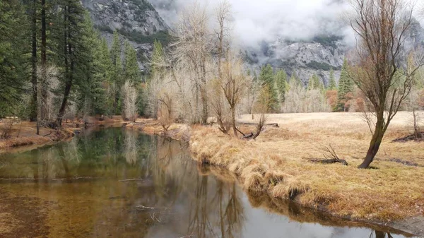 River flowing, autumn forest, California. Calm surface of water stream or creek. — Stock Photo, Image