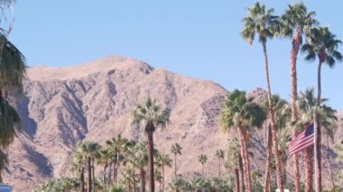 Palmiye ağaçları ve dağlar, Palm Springs, Kaliforniya çöl vadisi vahası Flora USA