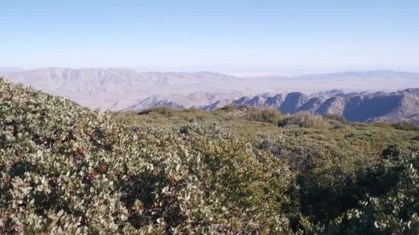 Berg och kullar, öken dal, Kalifornien vildmark, USA vandring Mt Laguna. — Stockvideo