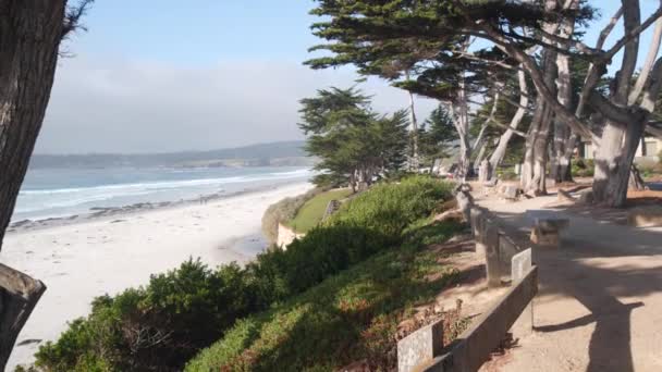 Weg, pad of voetpad, oceaanstrand, Californische kust. Pijnboomcipres aan het water. — Stockvideo