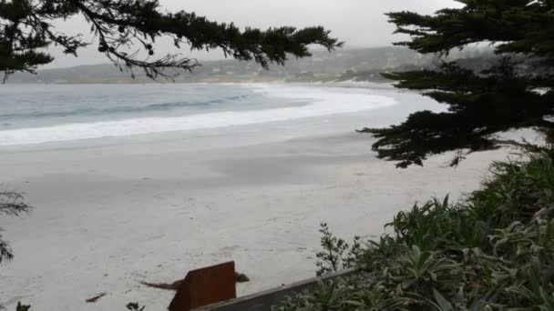 Ocean sandy beach, California coast, sea water waves crashing. Foggy weather. — Stock Video