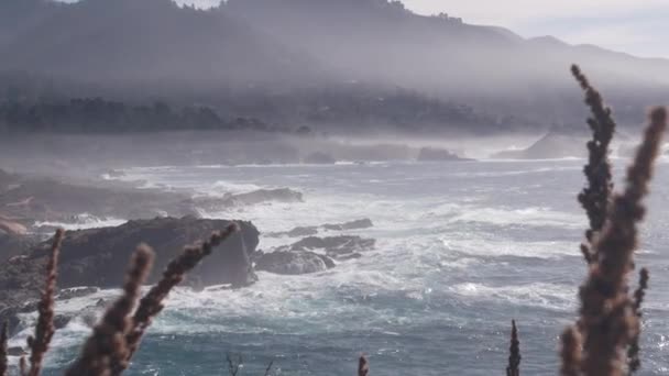 바위투성이의 바 닷가, 포인트 로보스, 안개많은 캘리포니아 해안. 파도가 부서지다. — 비디오