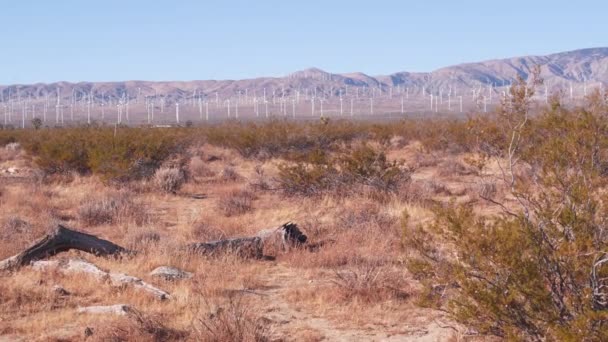 Moinhos de vento no parque eólico, geradores de energia eólica. Parque eólico do deserto, EUA. — Vídeo de Stock