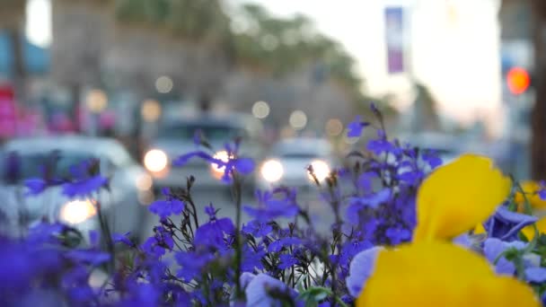 Palmeiras e flores, Palm Springs city street, California summer road trip. — Vídeo de Stock