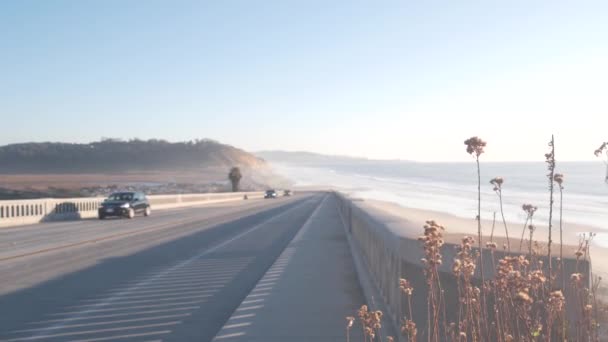 太平洋海岸高速公路，托里松树州海滩，海浪，加利福尼亚海岸 — 图库视频影像