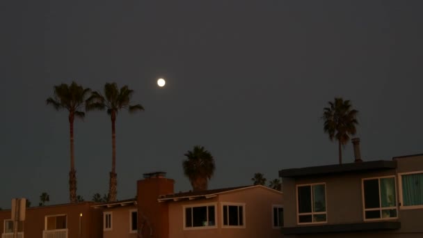Palm trees silhouettes and full moon in twilight sky, California beach houses. — Stock Video