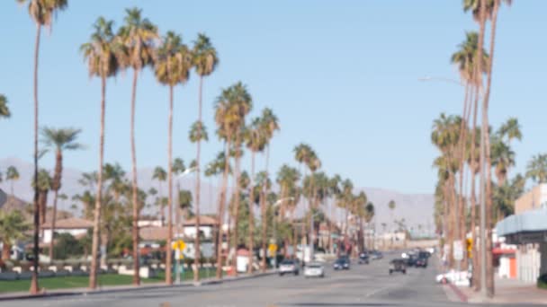 Palmbomen, Palm Springs City Street, wegverkeer, Californië Verenigde Staten. Auto 's rijden — Stockvideo