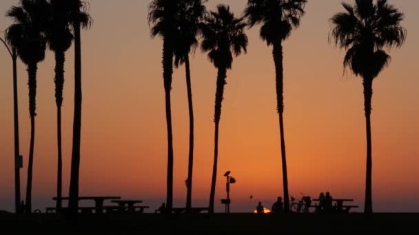 Siluetas de personas y palmeras en la playa al atardecer, costa de California, EE.UU.. — Vídeos de Stock