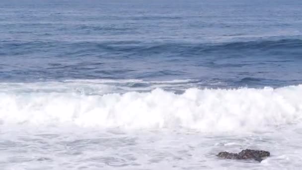 Pelikáni létají vzduchem, oceánské vlny. Pelecanus let, vodní hladina. — Stock video