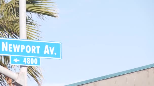 Newport street road sign, Califórnia, EUA. Resort turístico, palmeiras — Vídeo de Stock