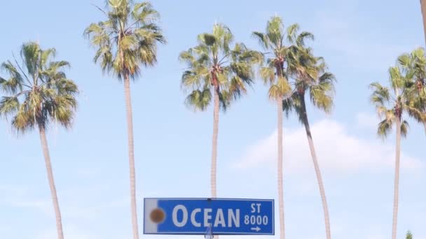 Ocean street road sign, California ciudad Estados Unidos. Centro turístico, palmeras costeras — Vídeo de stock