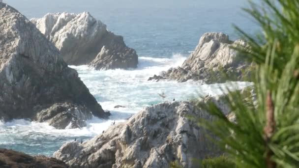 Скалистая скала, океанский пляж, Пойнт Лобос, Калифорнийское побережье. Волны разбиваются. — стоковое видео