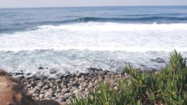Okyanus dalgaları sahile çarpıyor, deniz suyu yüzeyi, California. Sulu bitkiler..