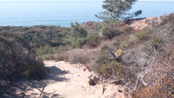 Torrey Pines parque estadual, reserva natural, trekking e trilhas caminhadas, Califórnia — Vídeo de Stock