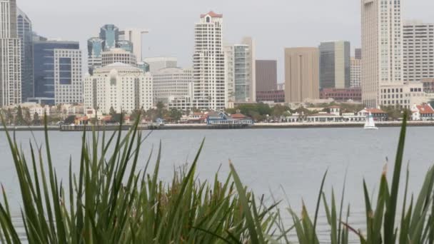 Downtown City skyline, San Diego city scape, Verenigde Staten. Hoogbouw wolkenkrabbers per haven. — Stockvideo