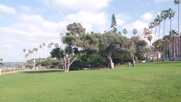 Wiersz palm, Rocky Point Park w La Jolla, wybrzeże Kalifornii, USA. Błękitne niebo — Wideo stockowe