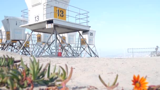 Soporte de salvavidas y flor, torre de salvavidas para surfear en la playa de California. — Vídeos de Stock