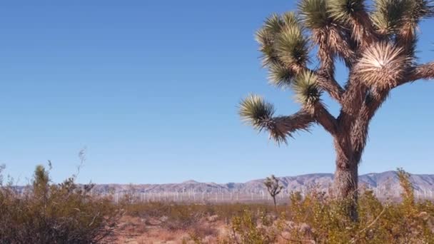 Moinhos de vento no parque eólico, geradores de energia eólica. Parque eólico do deserto, EUA. — Vídeo de Stock